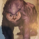 the owlbear art from the Monster Manual